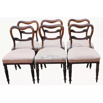 Viktorianisches original antikes Palisander Esszimmerstühle Set 1850