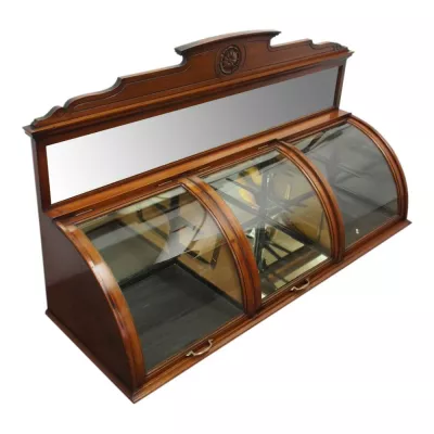 Viktorianisches Mahagoni Schaufenster oder Vitrine von ca. 1870