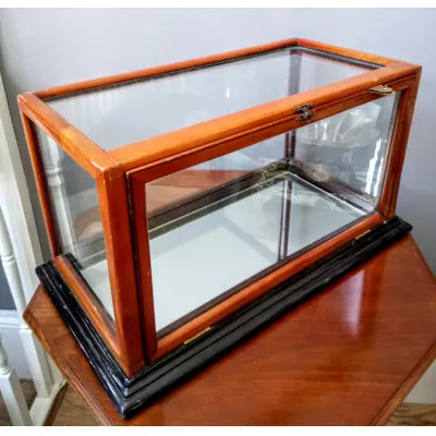 Edwardianische antike Vitrine Schaukasten Massivholz 1900