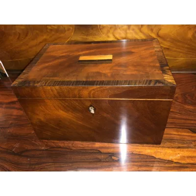 Antike original Englische Regency Mahagoni Truhe ca. 1820