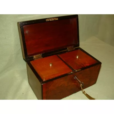 Viktorianische Antike Nussbaum Teedose antik von ca. 1870