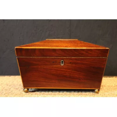 Antike Original Regency Englische Teedose aus Mahagoni von ca. 1820