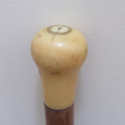 Viktorianischer original antiker Elfenbein Malakka Gehstock englisch 1850