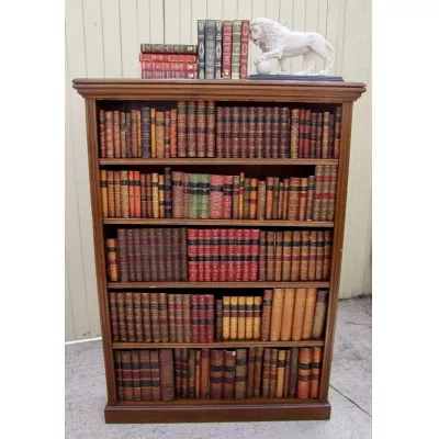 Original Antikes Englisches offenes Eichen Bücherregal ca. 19. JH