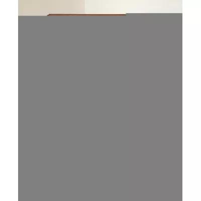  Englischer Antiker Mahagoni Tambour Aktenschrank ca. 1910