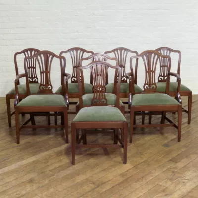 8 Original Antike Englische Edwardianische Mahagoni Stühle Sheraton Stil ca. 1900