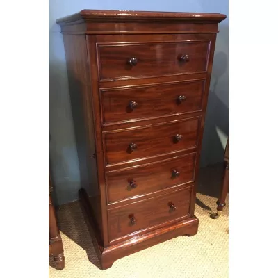 Original Antiker Viktorianischer Englischer Mahagoni Wein Schrank ca. 1880