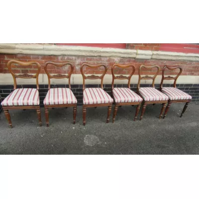 Sechs original antike Palisander Stühle William IV englisch 19. Jh