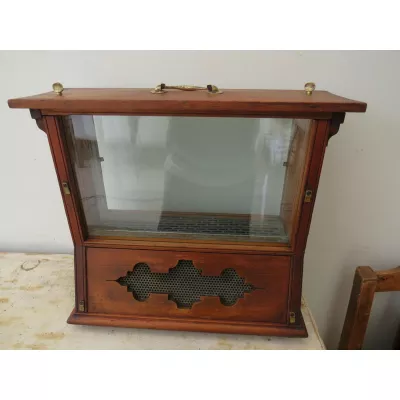 Edwardianische Englische Antike Kiefer Bienen Vitrine ca. 1900