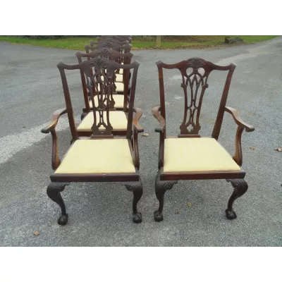 Antike Mahagoni Chippendale Esszimmer Stühle englisch 19. Jh