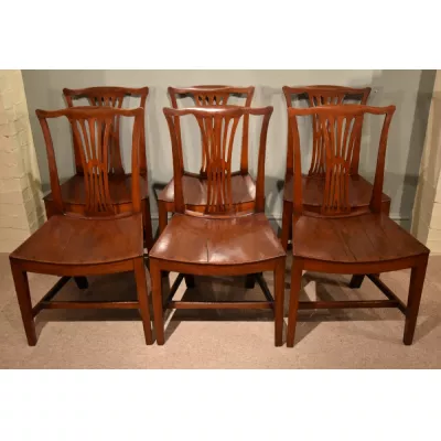 6 Englische Antike Mahagoni Esszimmerstühle im Landhausstil ca. 19. JH.