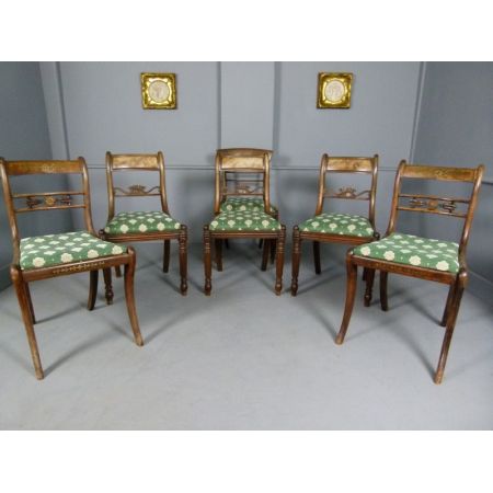 6 Regency Antike Englische Harlekin Palisander Stühle ca. 1815