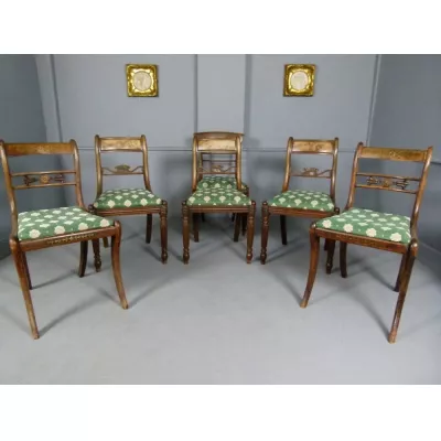 6 Regency Antike Englische Harlekin Palisander Stühle ca. 1815