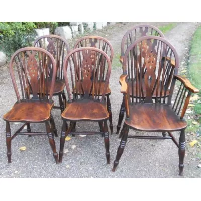 6 Englische Antike Ulmen Küchenstühle ca. 1850
