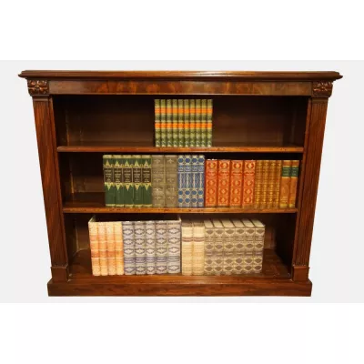 Antiker britischer Mahagoni Bücherschrank 19. Jh