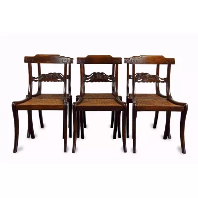 6 William IV. Antike Englische Buchen Esszimemrstühle ca. 1835