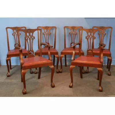 6 Edwardianische Antike Englische Mahagoni Esszimmerstühle ca. 1900