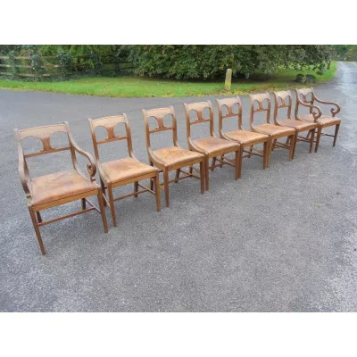 8 Regency Englische Mahagoni Leder Esszimmer Stühle ca. 1800