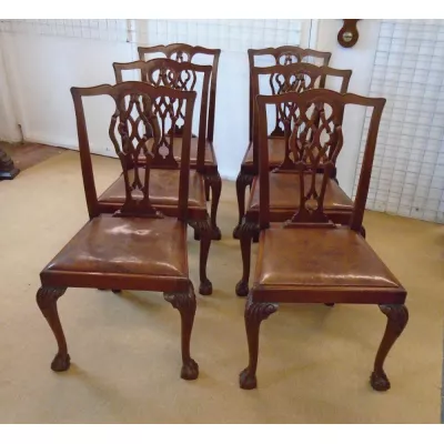 Georgianische antike Mahagoni Esszimmer Stühle englisch ca 1910