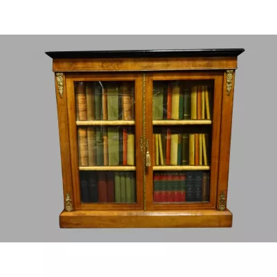 Viktorianisches antikes Nussbaum Bücherregal Vitrine britisch ca 1880