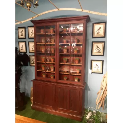 Antiker Regency Bücherschrank Kiefer Weichholz englisch ca 1810