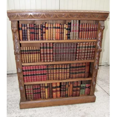 Antiker britischer Eichen Bücherschank ca 19. Jh