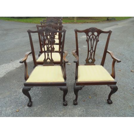 Antike britische Mahagoni Stühle ca 1890