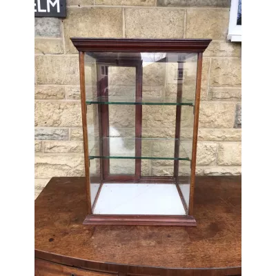 Viktorianische Antike Englische Mahagoni Vitrine ca. 1860