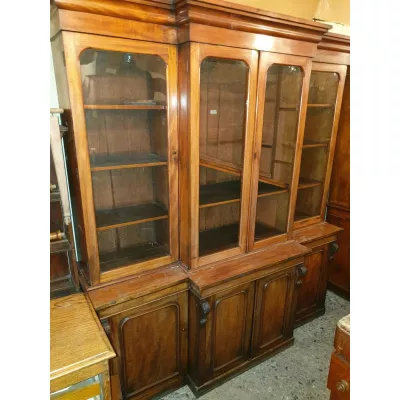 Bücherschrank aus Mahagoni mit Frontausschnitt aus dem 19. Jahrhundert