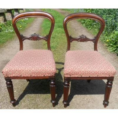 Paar antiker viktorianischer Stühle Dining Chairs aus Mahagoni ca 1850