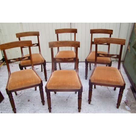 Set von 6 Stühlen Mahagoni William iv