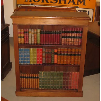 Nussbaumschrank Bücherregal Antik ca. 1900
