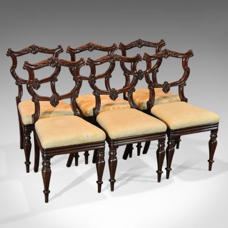 Set mit sechs antiken Stühlen, Palisander, William IV 