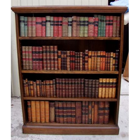 Antikes Edles Massivholz Mahagoni Bücherregal aus dem 19. Jahrhundert