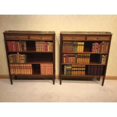 Antikes paar edwardianische Inliad Bücherregale von Gregory & Co aus London