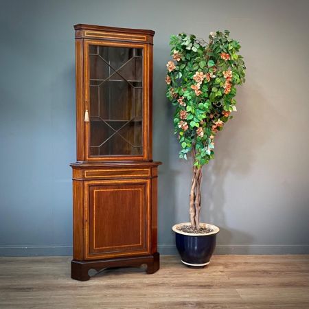  antike edwardianische Eckvitrine