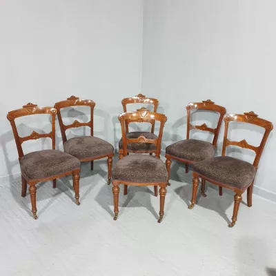 Set aus sechs Antiken Stühlen / dining chairs aus Nussbaumholz