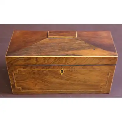 Regency Palisander Teekiste – Ein Meisterwerk der Regency-Ära
