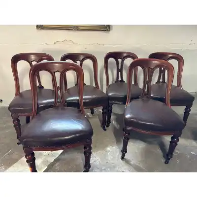 Esszimmerstühle 6er Set 
