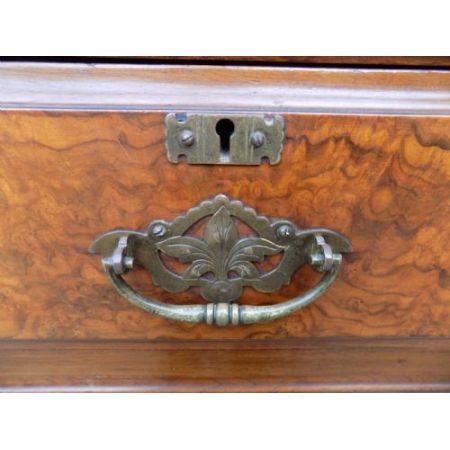 Viktorianischer Nussbaum Wurzelholz Kompakt Kleiderschrank