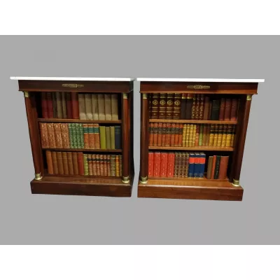 Schönes Paar Mahagoni Bücherschränke Regency 1920