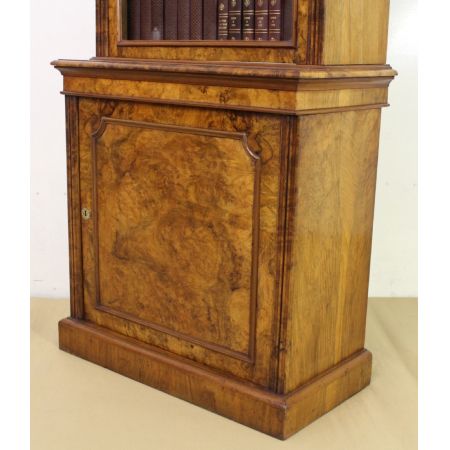 Schlanker Original viktorianischer Wurzelholz Nussbaum Bücherschrank