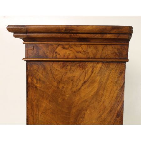 Schlanker Original viktorianischer Wurzelholz Nussbaum Bücherschrank