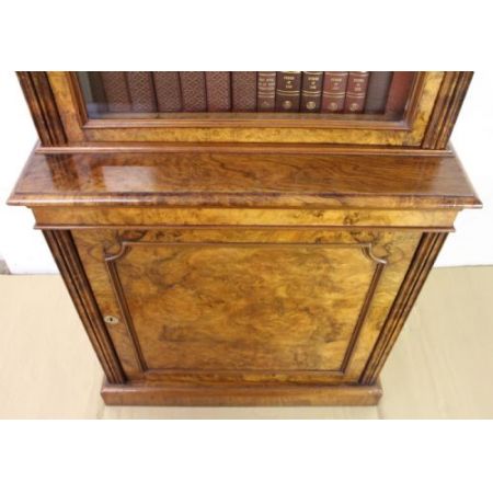 Schlanker Original viktorianischer Wurzelholz Nussbaum Bücherschrank