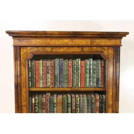 Schlanker Original viktorianischer Wurzelholz Nussbaum Bücherschrank