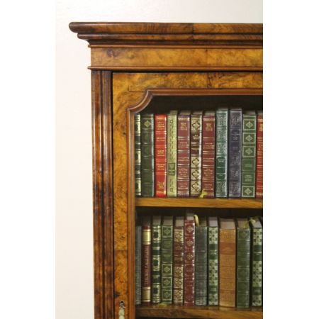 Schlanker Original viktorianischer Wurzelholz Nussbaum Bücherschrank