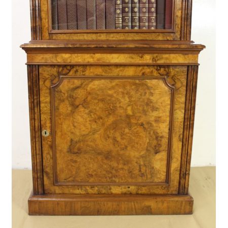 Schlanker Original viktorianischer Wurzelholz Nussbaum Bücherschrank