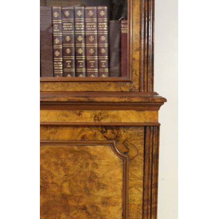 Schlanker Original viktorianischer Wurzelholz Nussbaum Bücherschrank