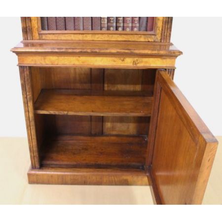 Schlanker Original viktorianischer Wurzelholz Nussbaum Bücherschrank