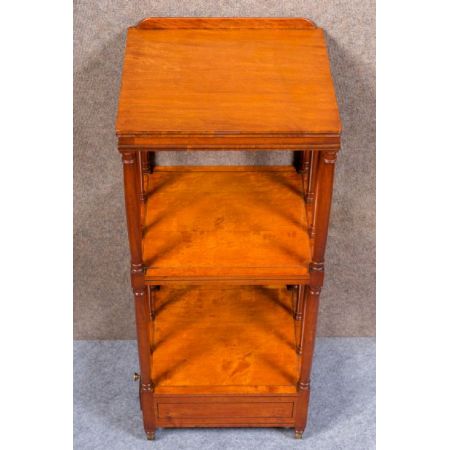 "Antikes Bücherregal aus Massivholz Satinholz aus dem 19. Jahrhundert"